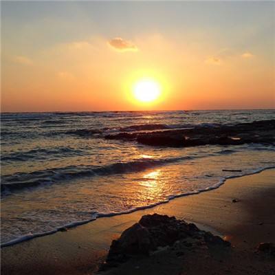 宁德市房地产网